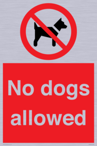 No dogs allowed